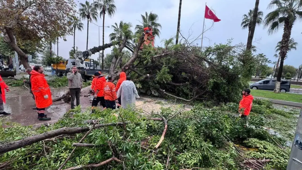 Mersin’de Şiddetli Yağış Felaketi: Devrilen Ağaç 3 Aracı Altına Aldı! 1